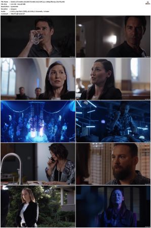 Travelers 2016 S01 S03 Bluray-WEB EAC3 5 1 1080p x265-iVy