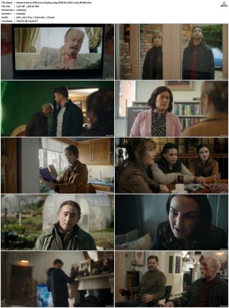 Harry Wild 2022 S01 S03 720p WEB-DL HEVC x265 BONE