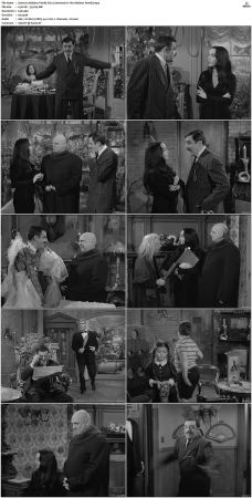 The Addams Family 1964 S01 S02 DVDRip X264-NGP
