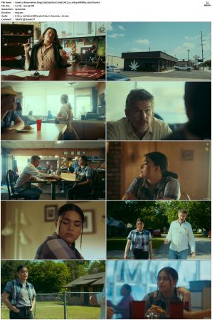 Reservation Dogs S01 S03 WEBRip EAC3 5 1 1080p x265-iVy