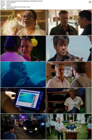 Almost Paradise S01 S02 WEBRip EAC3 5 1 1080p x265-iVy