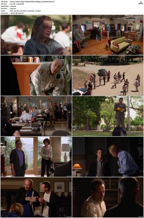 Monk S01-S08 SUPER-PACK BDRip x264-BORDURE