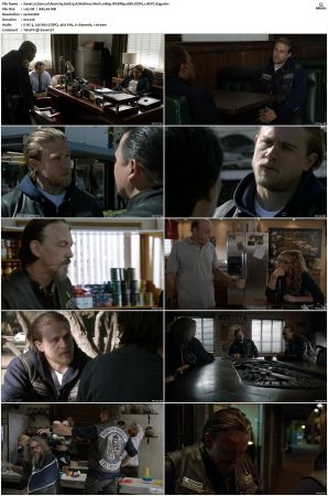 Sons of Anarchy S01-S07 SUPER-PACK 1080p WEBRip 10Bit DDP5.1 HEVC-d3g