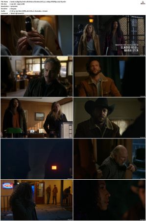Big Sky S01 S03 WEBRip EAC3 5 1 1080p x265-iVy