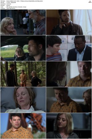 Alphas S01 S02 1080p BluRay x265 HEVC 10bit AAC 5 1 Silence
