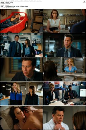 Angie Tribeca S01 S04 SUPER-PACK 1080p Web DDP5 1 HEVC x265-JoeBee