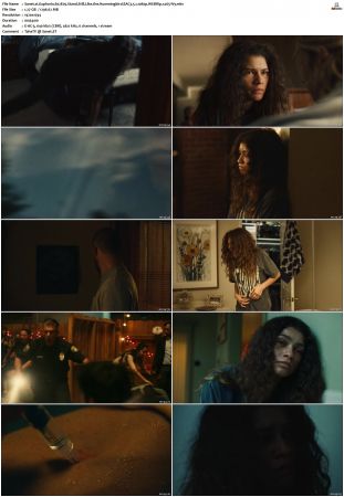 Euphoria S01 S02 WEBRip EAC3 5 1 1080p x265-iVy