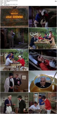 Gilligans Island S01 S03 DVDRip H264-NGP