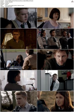 Wolfblood S01 S05 WEBRip EAC3 2 0 1080p x265-iVy