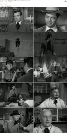 The Wild Wild West S01-S04 DVDRip XviD-NOGRP