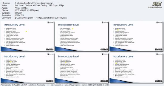 Sybase - Beginners to Advanced