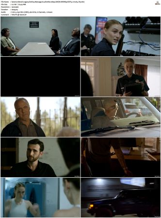 Bosch Legacy S01 S02 SUPER-PACK 1080p AMZN WEBRip DDP 5 1 x265-iVy