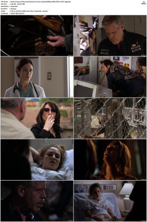 Sons of Anarchy S01 S07 SUPER-PACK 1080p WEBRip 10Bit DDP5 1 HEVC-d3g