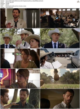 Walker S01-S04 1080p WEBRip EAC3 5.1 x265-iVy
