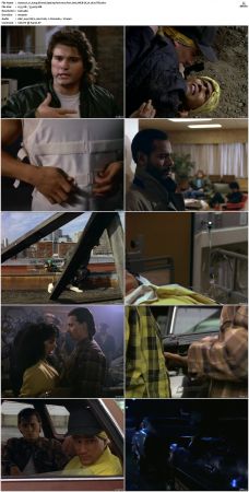 21 Jump Street S01 S05 WEB-DL H 264-JiTB
