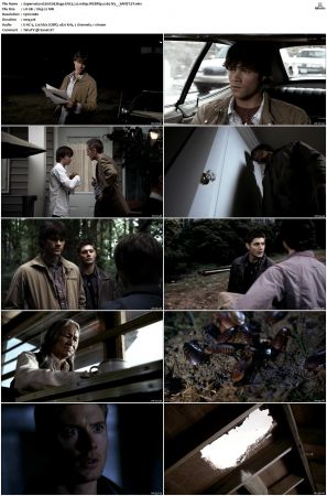 Supernatural S01 S15 WEBRip EAC3 2 0 1080p x265-iVy