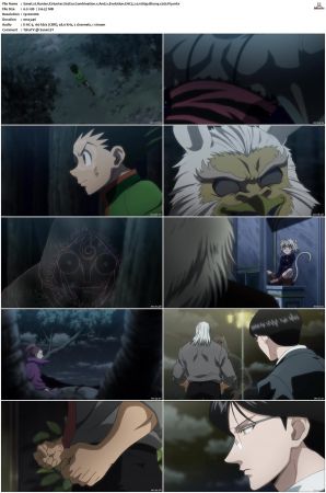 Hunter X Hunter S01-S03 Bluray EAC3 2 0 1080p x265-iVy
