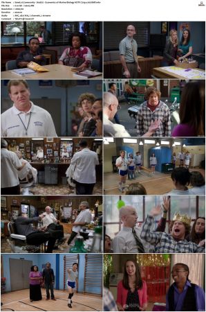 Community S01-S06 SUPER-PACK 720p Bluray x265-BMF