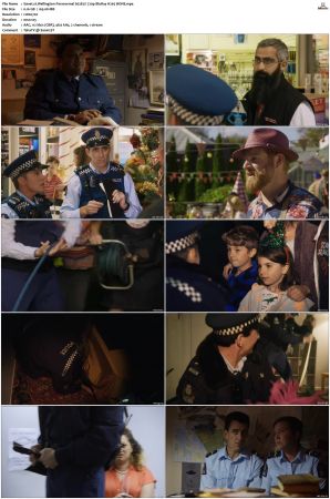 Wellington Paranormal S01 S04 720p BluRay H265 BONE