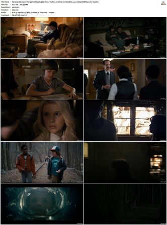 Stranger Things S01 S04 WEBRip EAC3 5 1 1080p x265-iVy