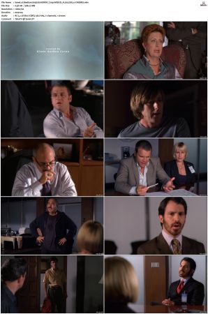 Medium S03 NORDiC 720p WEB-DL H 265 DD2 0-CiNEMiX