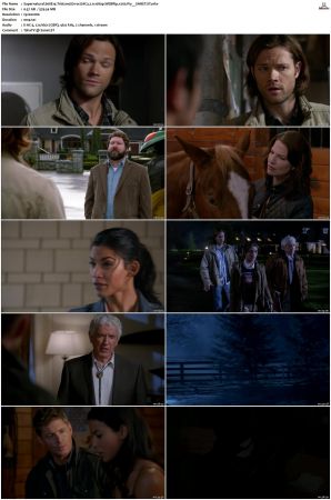 Supernatural S01 S15 WEBRip EAC3 2 0 1080p x265-iVy