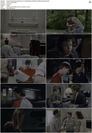 Risky Business 1983 Directors Cut UHD BluRay 2160p DDP 5.1 DV HDR x265-hallowed