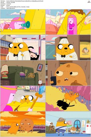 Adventure Time 2008 S01-S10 + Fionna and Cake 1080p Bluray EAC3 2.0 x265-iVy