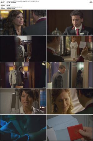 Hotel Babylon 2006 S01 S04 720p WEB-DL HEVC x265 BONE