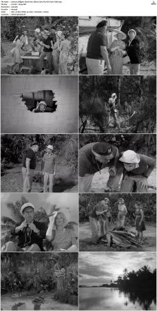 Gilligans Island S01 S03 DVDRip H264-NGP