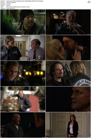 Sons of Anarchy S01 S07 SUPER-PACK 1080p WEBRip 10Bit DDP5 1 HEVC-d3g