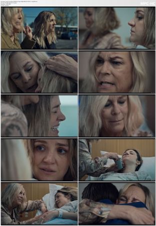 The Bear S01 S03 SUPER-PACK 1080p WEB AV1 DDP 5 1-onlyfaffs