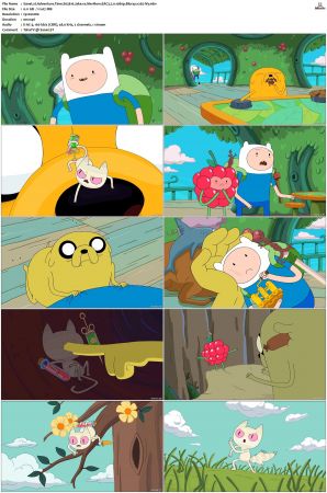 Adventure Time 2008 S01-S10 + Fionna and Cake 1080p Bluray EAC3 2.0 x265-iVy