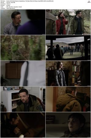 Hinterland 2013 S01 S03 720p WEB-DL HEVC x265 BONE