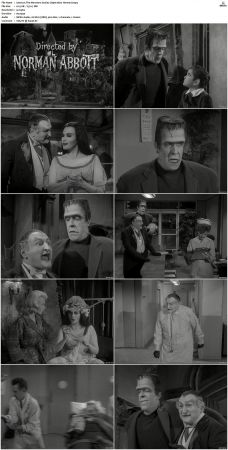 The Munsters 1964 S01 S02 DVDRip MPEG-NGP