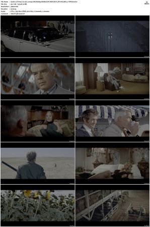 Prime Cut 1972 2160p UHD BluRay REMUX DV HDR HEVC DTS-HD MA 5.1-TRiToN