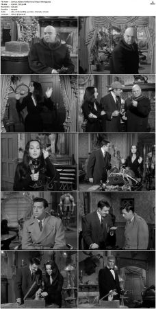 The Addams Family 1964 S01 S02 DVDRip X264-NGP