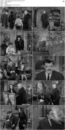 The Addams Family 1964 S01-S02 DVDRip X264-NGP