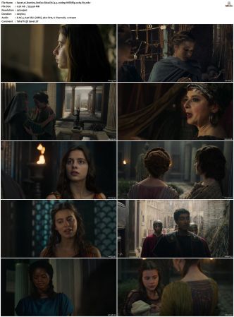Domina S01 S02 SUPER-PACK WEBRip EAC3 5 1 1080p x265-iVy