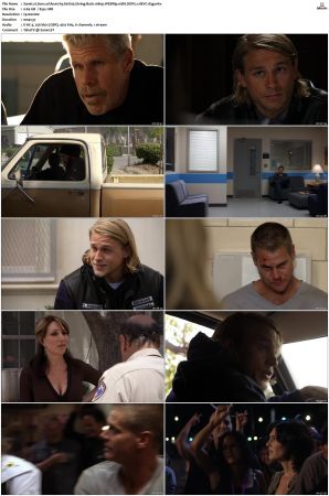Sons of Anarchy S01 S07 SUPER-PACK 1080p WEBRip 10Bit DDP5 1 HEVC-d3g