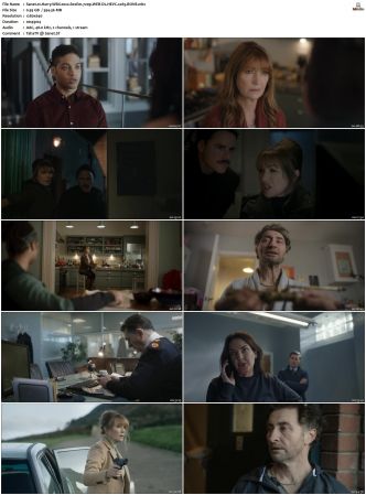 Harry Wild 2022 S01 S03 720p WEB-DL HEVC x265 BONE