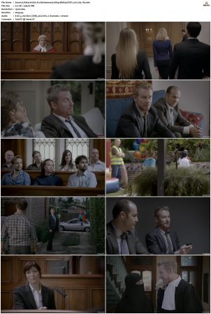 Rake S01 S05 1080p BluRay DDP 2 0 x265-iVy