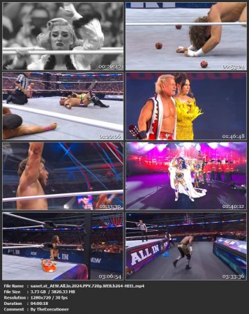 AEW All In 2024 PPV 720p WEB h264-HEEL
