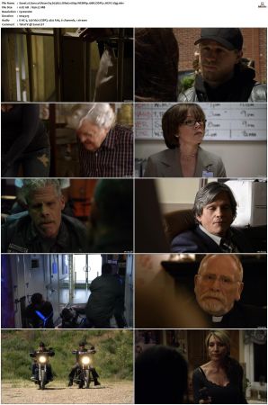 Sons of Anarchy S01 S07 SUPER-PACK 1080p WEBRip 10Bit DDP5 1 HEVC-d3g