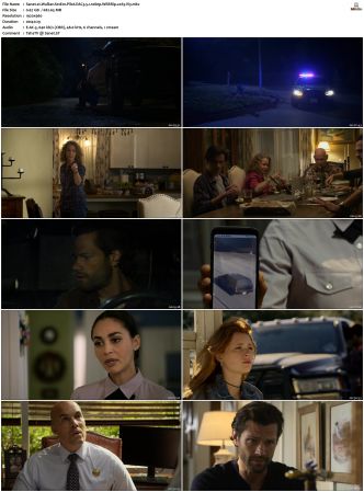 Walker S01 S04 WEBRip EAC3 5 1 1080p x265-iVy
