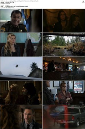 Big Sky S01 S03 WEBRip EAC3 5 1 1080p x265-iVy