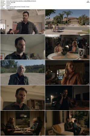 Barry S01 S04 SUPER-PACK WEBRip EAC3 5 1 1080p x265-iVy
