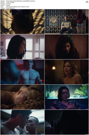 Euphoria S01 S02 WEBRip EAC3 5 1 1080p x265-iVy