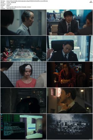 Tokyo Swindlers S01 1080p NF WEB-DL DUAL DDP5 1 H 264-APEX
