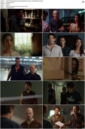 Almost Paradise S01 S02 WEBRip EAC3 5 1 1080p x265-iVy